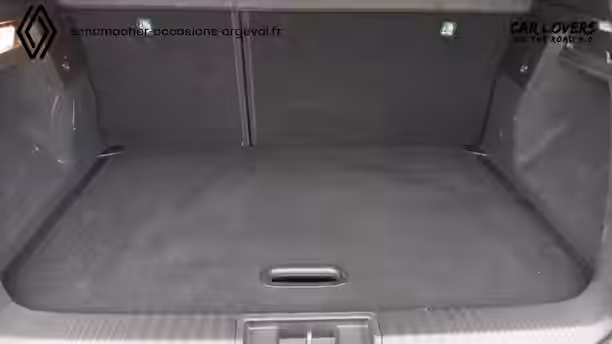 RENAULT CAPTUR 19 / 46