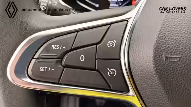 RENAULT CAPTUR 19 / 31