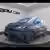 BYD DOLPHIN SURF