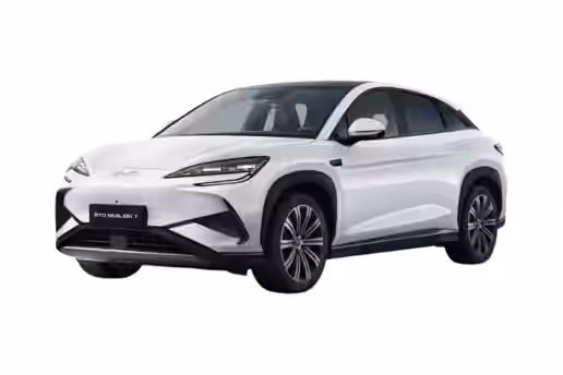 BYD SEALION 7 1 / 6