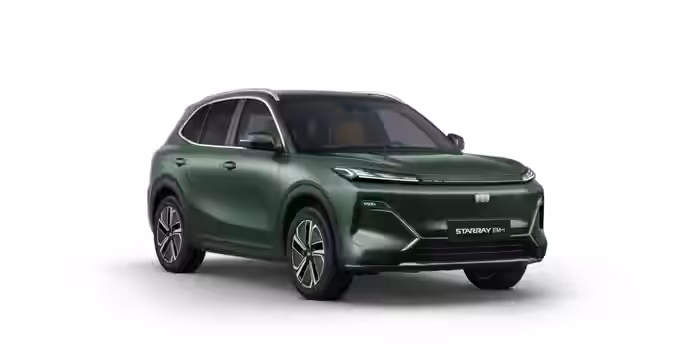 GEELY STARRAY 33 / 44