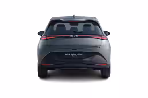 BYD DOLPHIN G 3 / 5