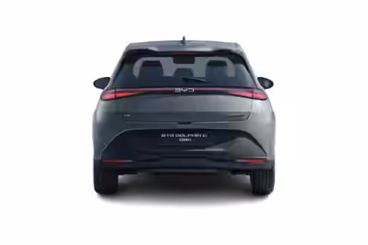 BYD DOLPHIN G 3 / 5
