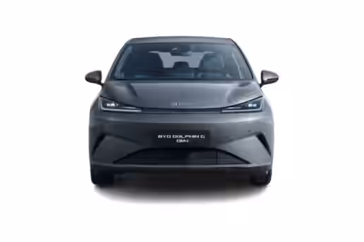 BYD DOLPHIN G 4 / 5