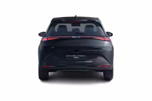 BYD DOLPHIN G 3 / 5
