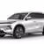 GEELY STARRAY