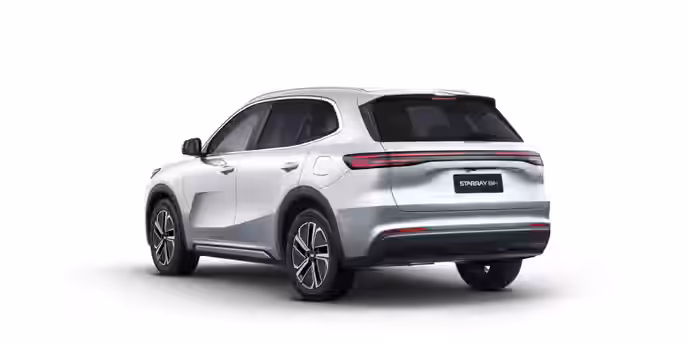 GEELY STARRAY 24 / 24