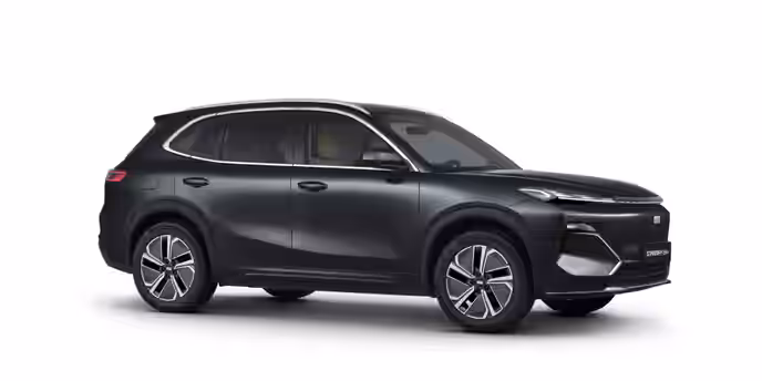 GEELY STARRAY 19 / 24