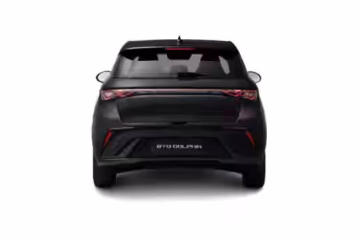 BYD DOLPHIN 3 / 5