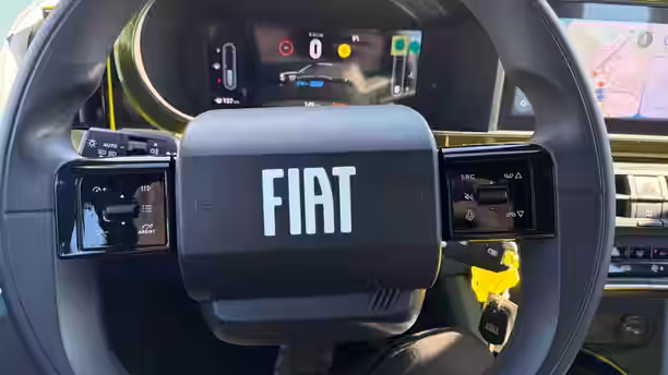 FIAT GRANDE PANDA 19 / 30