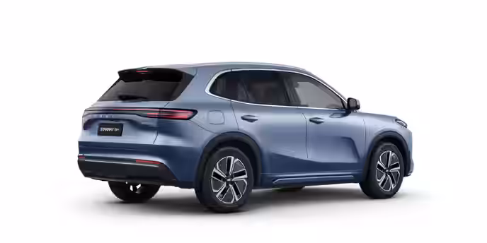GEELY STARRAY 5 / 24
