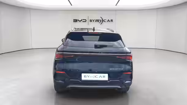 BYD ATTO 3 4 / 13