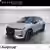 DS DS 3