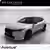DS DS 4