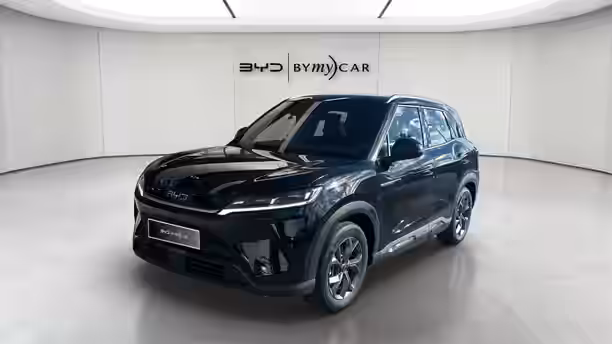 BYD ATTO 2 1 / 14
