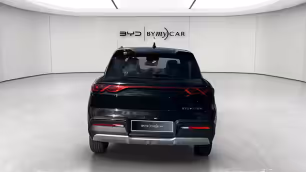 BYD ATTO 2 4 / 14