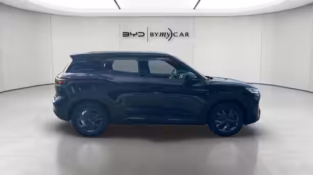 BYD ATTO 2 6 / 14