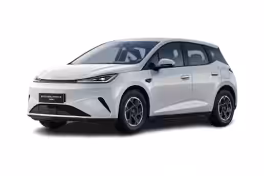 BYD DOLPHIN G 1 / 6