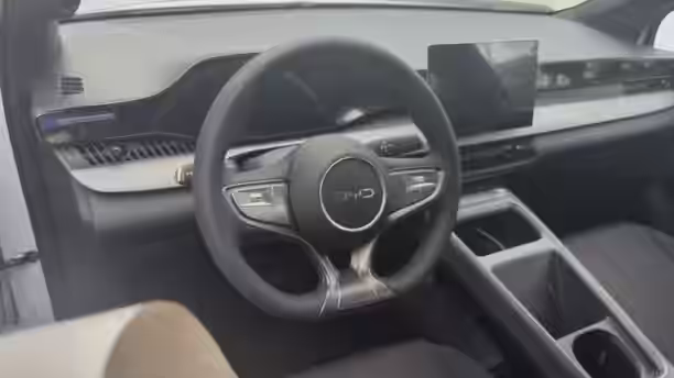 BYD DOLPHIN G 10 / 13