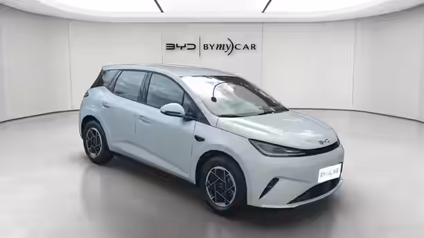 BYD DOLPHIN G 1 / 13