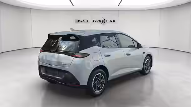 BYD DOLPHIN G 3 / 13