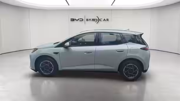 BYD DOLPHIN G 6 / 13