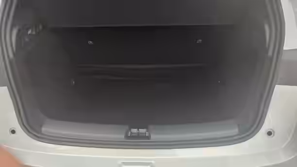 BYD DOLPHIN G 12 / 13