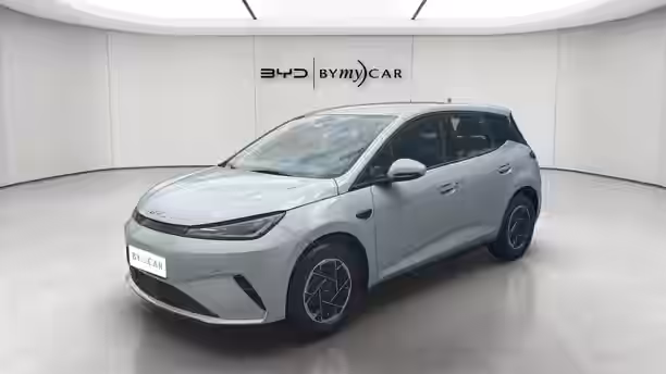 BYD DOLPHIN G 7 / 13