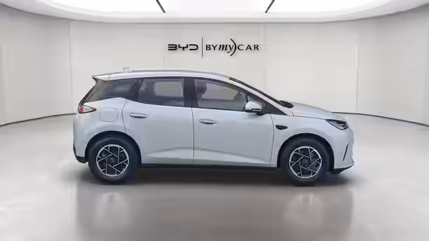BYD DOLPHIN G 2 / 13
