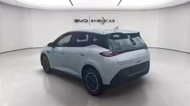 BYD DOLPHIN G 5 / 13