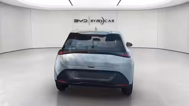 BYD DOLPHIN G 4 / 13