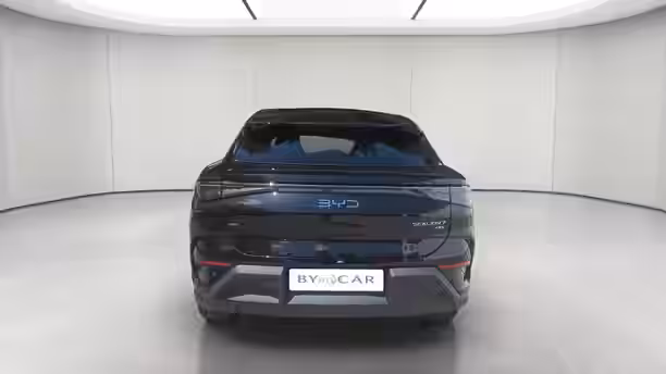 BYD SEALION 7 4 / 13