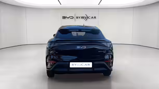 BYD SEALION 7 4 / 14