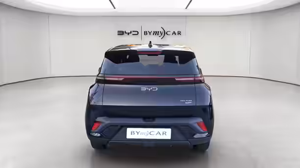BYD DOLPHIN SURF 4 / 13