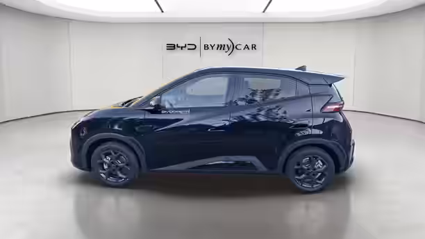 BYD DOLPHIN SURF 2 / 13