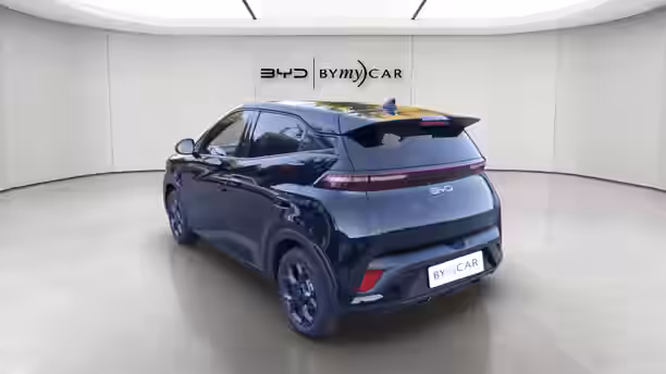 BYD DOLPHIN SURF 3 / 13
