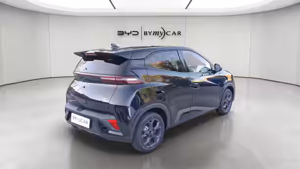 BYD DOLPHIN SURF 5 / 13