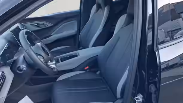 BYD DOLPHIN SURF 11 / 13