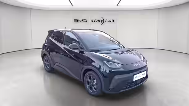 BYD DOLPHIN SURF 7 / 13