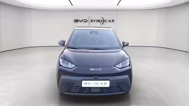 BYD DOLPHIN SURF 8 / 13
