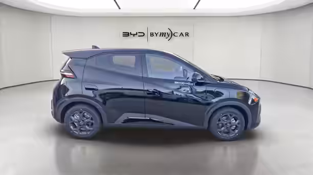 BYD DOLPHIN SURF 6 / 13