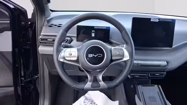 BYD DOLPHIN SURF 10 / 13