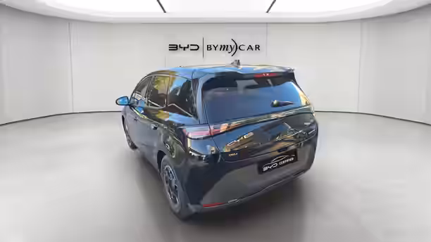 BYD DOLPHIN G 3 / 21