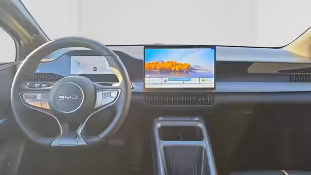 BYD DOLPHIN G 10 / 21