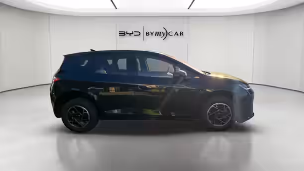 BYD DOLPHIN G 6 / 21