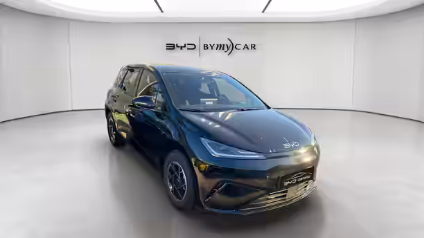BYD DOLPHIN G 7 / 21