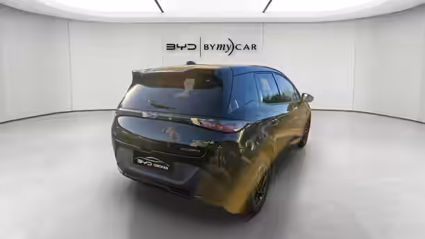 BYD DOLPHIN G 5 / 21