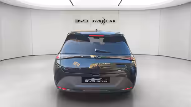 BYD DOLPHIN G 4 / 21