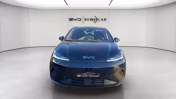 BYD DOLPHIN G 8 / 21
