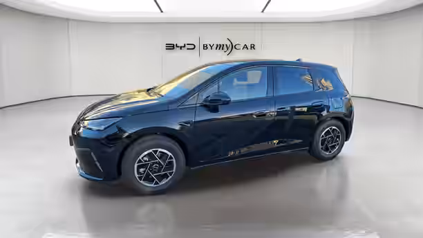 BYD DOLPHIN G 2 / 21